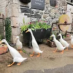 펜션 Rebecca Puddle Duck 바센스웨이트