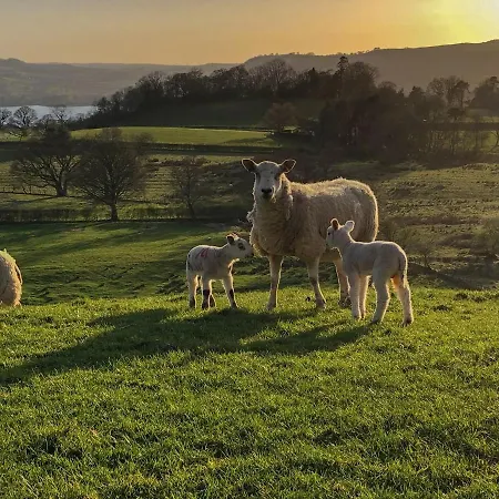 Holiday home Rebecca Puddle Duck *