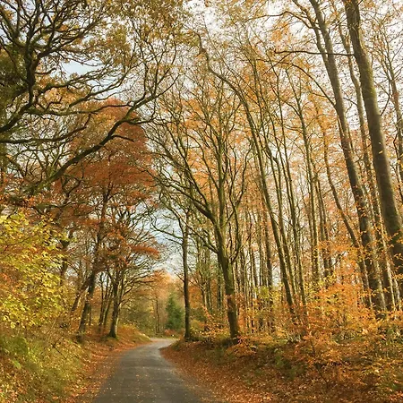 Rebecca Puddle Duck Holiday home Bassenthwaite