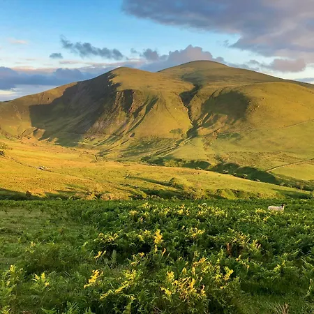 Holiday home Rebecca Puddle Duck