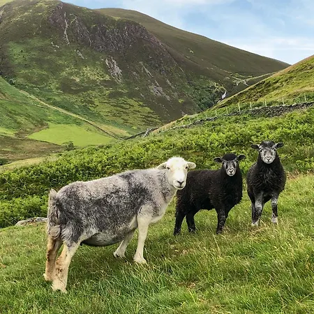 Rebecca Puddle Duck Holiday home *