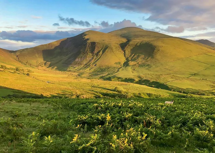 Rebecca Puddle Duck Casa de Férias