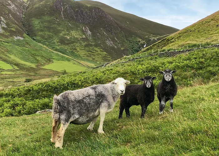 Rebecca Puddle Duck Holiday home *