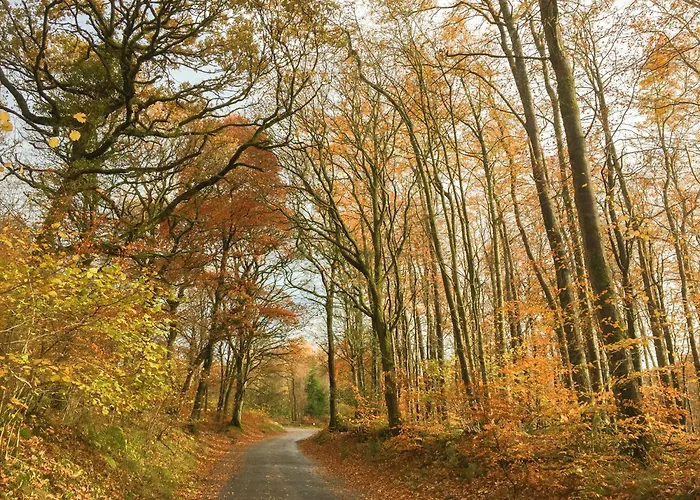 Rebecca Puddle Duck Holiday home *