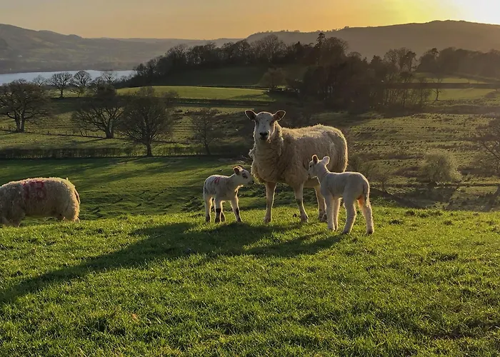 Rebecca Puddle Duck Holiday home Bassenthwaite